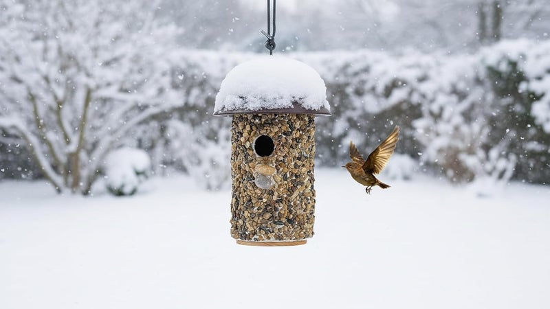 CEDAR ALPHA Pebble Stone Bird House for Outside Clearance, HDPE Roof Bird House for Outdoor, Heavy Duty Stone, Hanging Birdhouse for Outside, Wren House 10 Year Lasting (Black - Image 5